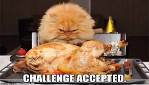 12 Funny Thanksgiving Memes That Capture Our Feelings For That Holiday I Can Has Cheezburger