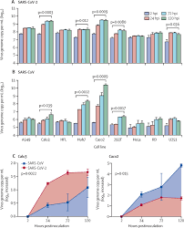 Vero cells are a lineage of cells used in cell cultures.1 the 'vero' lineage was isolated from kidney the vero cell lineage is continuous and aneuploid, meaning that it has an abnormal number of. Comparative Tropism Replication Kinetics And Cell Damage Profiling Of Sars Cov 2 And Sars Cov With Implications For Clinical Manifestations Transmissibility And Laboratory Studies Of Covid 19 An Observational Study The Lancet Microbe