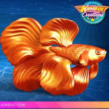 Betta orange opening hours & specials. Orange Betta Fish Stlfinder