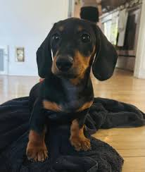 lamar chairez - Results on X | Live Posts & Updates