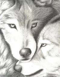 302x255 how to draw a gray wolf, timber wolf step 10 how to draw. Wolves Nuzzling By Evajanus On Deviantart Wolf Painting Wolf Drawing Animal Drawings
