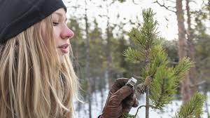 Guide's Workday: Live The Experience