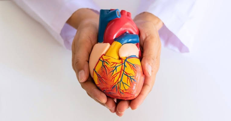 Cholesterol Control