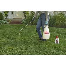 Amazon.Com: Ortho Home Defense Insect Killer For Lawn & Landscape  Concentrate - Treats Up To 5,300 Sq. Ft., For Ants, Ticks, Mosquitoes,  Fleas & Spiders, Starts Working Within Minutes, 32 Oz. :