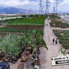 Museum of the southwest and george w. Garden View Nursery 201 Photos 116 Reviews Nurseries Gardening 12901 Lower Azusa Rd Irwindale Ca Phone Number Yelp