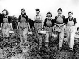 Ill Seen Ill Said Land Girls Wwii Women Women S Land Army