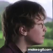 Thomas The Tank Engine Vine Harry Potter 2025