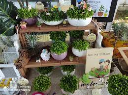 There are water holes at the bottom of the flowerpot to facilitate *we currently offer cod payments for saudi arabia, united arab emirates, kuwait, oman, bahrain, qatar, thailand, singapore, malaysia, philippines. Mini Potted Plants Home Facebook
