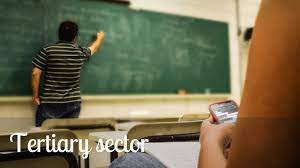 The tertiary sector is the fastest growing industry in today's economic world. Tertiary Economic Activity Definition Background Examples Economic Activity