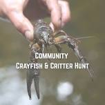 Community Crayfish and Critter Hunt