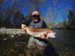 Guided Fly Fishing Near Bear Lake Reserve Hookers Fly Shop