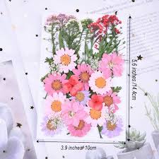 How do you dry flowers for resin? Buy 75pcs Yellow Dried Pressed Flowers For Resin Youthbro Real Nature Flowers Herb Set For Diy Jewelry Candle Soap Vase Making Nail Card Scrapbook Art Craft Floral Decors Online In Guatemala