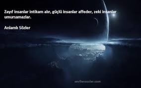 en zeki insanlarla ilgili sözler ile ilgili görsel sonucu