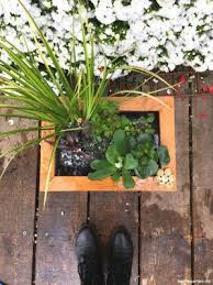 Miniteich Fertig Miniteich Bepflanzung Terrasse Bepflanzen