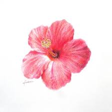 Fleur Dessin Recherche Google Maple Leaf Tattoo Art Inspiration Leaf Tattoos