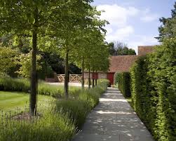 How To Design A Restorative Garden To Lift Your Spirits Garden Green Almosthomefl Home Realestate Swfl Landscaping Around House Landscape Healing Garden