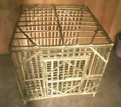 Ukurannya lebih kecil daripada kandang ayam umbaran, yaitu panjang 1 meter, lebar 0.8 meter, dan tinggi 1 meter. Kurungan Ayam Dari Bambu Posts Facebook