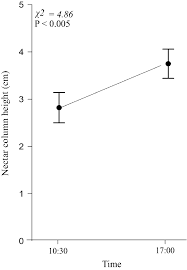 Image result for Bonatea steudneri