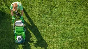 No more googling landscaping company near me and sorting through hordes of providers. How To Start A Lawn Care Business Truic