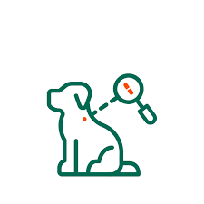 Check spelling or type a new query. Petlog Welcome To The Petlog Website