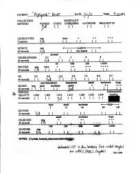 your dog or cat s urinalysis results