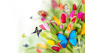 Image result for flowers