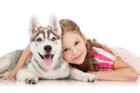 Maybe you would like to learn more about one of these? Diabetes Mellitus In Dogs Symptoms And Costs