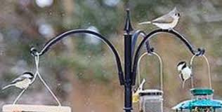 I have been using kettle moraine products for a while now, and i like a lot of them. Poles Deck Arms And Hangers The Backyard Naturalist