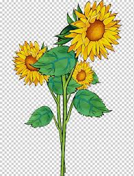 Bunga matahari png collections download alot of images for bunga matahari download free with high quality for designers. Bunga Cat Air Cat Tinta Basah Bunga Matahari Bunga Matahari Biasa Postscript Terenkapsulasi Tanaman Berbunga Png Klipartz