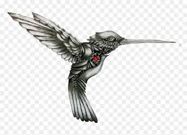 Maybe you would like to learn more about one of these? Hummingbird Drawing Tattoo Color Black And Grey Hummingbird Tattoo Hd Png Download Vhv
