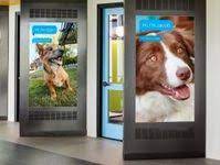 Clinic Observation Area Hospital Design Veterinary Clinic Veterinary
