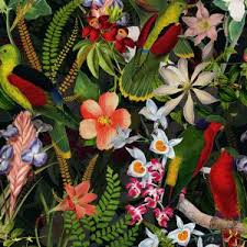 Tropical birds and flowers wallpaper. Tapeten Foto Tapeten Von Renommierten Designern Gestalte Deine Eigene Fototapete In Unserem Tapetenshop Hochwertige Design Wallpaper Trend Und Luxustapeten Fur Heim Gewerbe Designer Wallpaper Com