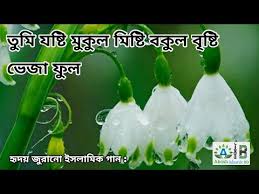 Amar moron asibe kokhon kew to jane na,আমার মরন আসিবে কখন কেউ তো জানে না, lyrics video. Download Gojoldownlod 3gp Mp4 Codedfilm