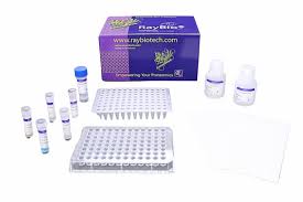 Image result for CSF PCR