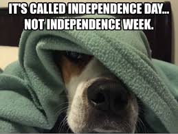 Fireworks Are Not My Favorite Dogs Memes Dogmemes Boxer Pit Boxerpit Humor Chewiesteve Dog Memes I Love Dogs Dogs And Fireworks