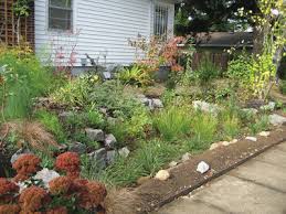 In the case of larger storms, rain gardens are designed to overflow through a simple dip in the berm on the downstream side of the garden (which can be reinforced with river rock to ensure Rain Gardens Low Impact Development Fact Sheet Osu Extension Catalog Oregon State University