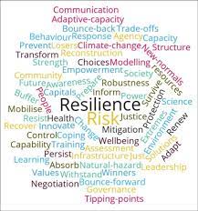 The ability to be happy, successful, etc. 1 Key Words For Resilience As Identified By The Project Team Download Scientific Diagram