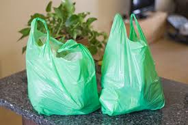 When a plant is covered and tied over a plastic bag, the plant eventually dies due to depletion of starch. The Plastic Bag Controversy After A Quarter Century