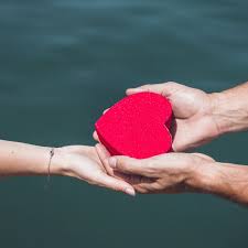 Un voleur était arrète mais il n'avait pas l'argent. Telechargez Gros Plan De Couple Main Tenue Rouge Forme Coeur Devant Mer Gratuitement Mains Couple Mains Couple
