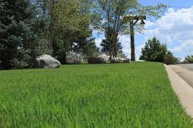 First rate lawn care & pest control oklahoma city, oklahoma. Pitzer S Lawn Management Passionate About Lawns