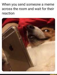 When You Send Someone A Meme Across The Room And Wait For Their Reaction Ifunny Funny Relatable Memes Stupid Funny Memes Funny Memes