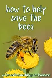 Bees also pollinate more than 16 percent of the flowering plants, and other animals and insects rely on plants that bees pollinate, making bees a vital part of a healthy ecosystem. Honey Bees Amazing Gardens Bee Gardening Tips