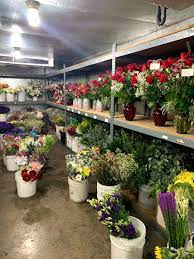 Find your next apartment in rancho cucamonga ca on zillow. Picazo S Flowers Picazosflowers Twitter