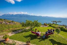 Check 'vaud' translations into russian. Vaud Open Cellars 2 Day Pass Offres Oenotouristiques Vaudoises Activities