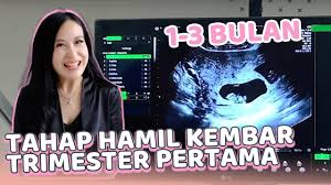 Q&a pengalaman hamil kembar saya yang niat awal utk membuat video ini adalah utk berbagi zaskia sungkar hamil, kembar kah? Tahap Hamil Kembar Trimester Pertama Bulan 1 3 Louissescarlett Com