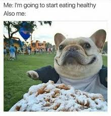 20 Animal Memes That Will Make You Happy Funny Animal Memes Funny Dog Memes Animal Memes