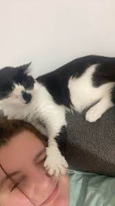 Looking for someone to put in approximately 150 sq. ft of ceramic tile  flooring in kitchen. All materials already purchased. Need done ASAP. Have  been trying to get someone in for a