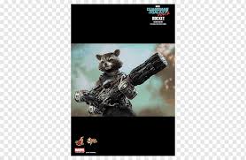 Find deals on products in action figures on amazon. Rocket Raccoon Hot Toys Limited Action Toy Figures 1 6 Scale Modeling Rocket Raccoon Fictional Characters Film 16 Scale Modeling Png Pngwing