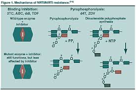 Image result for Nucleoside Reverse Transcriptase Inhibitor
