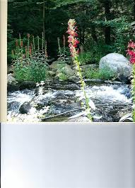 Blommor för new hampshire keene erbjuder samma dag blomsterförmedling för new hampshire keene till mycket låga priser. 0 Ferry Brook Road Keene Nh 03431 Neren